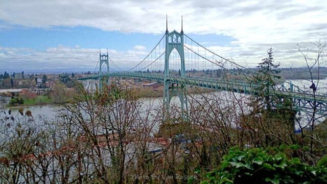 ForestPark_IMG_20260321_101626679