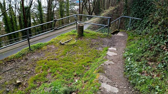 ForestPark_IMG_20260321_102740794