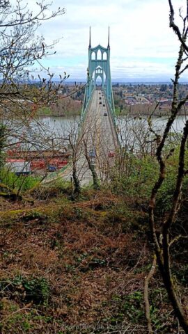 ForestPark_IMG_20260321_103235178