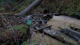 The creek disobeyed the sign and did not protect the habitat