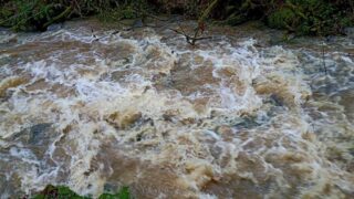 Never seen rapids before on Balch Creek