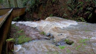 At the bridge and waterfall