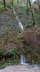 Streams coming down the walls all over the place