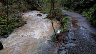 Spots where you could dip your toes in were underwater