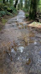 The trails were wet