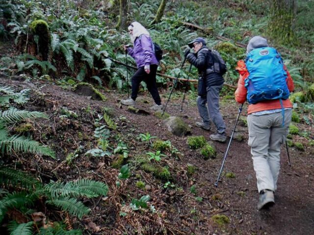 The trail starts with some steep switchbacks.
