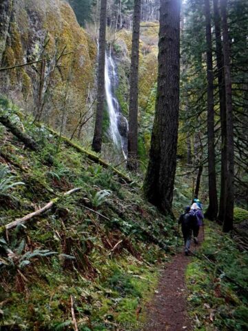 Arriving at Nick Eaton Falls