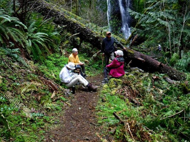 We took our lunch break in the falls area