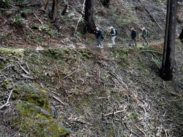 Heading back to the cars