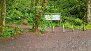 Trail Head for the Wildwood