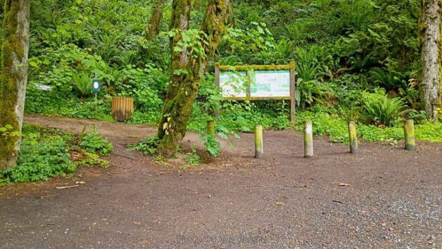 Trail Head for the Wildwood