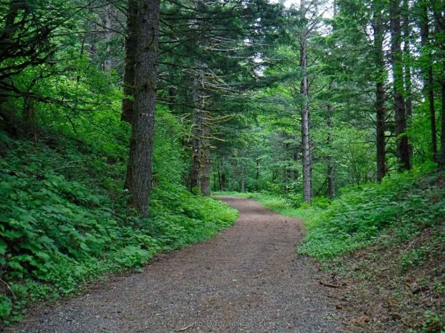 Starting up the equestrian gravel road trail