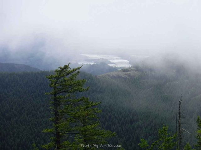 No views up the Gorge today