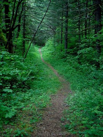 I did the Lower Trail as part of going back