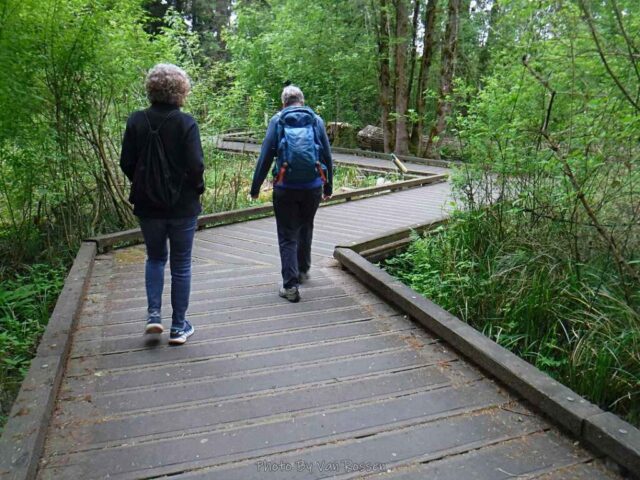 On the board walk at the Marsh