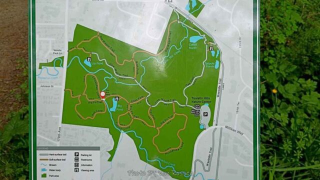 A map of the trails