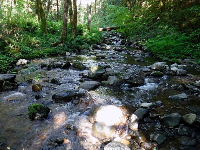 The Little Cheney Creek crossing was easy this time of year