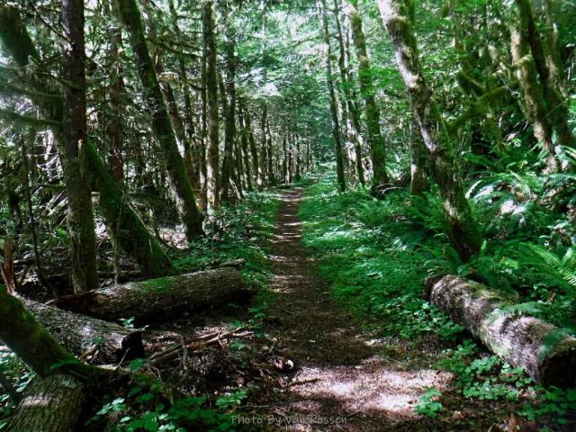 Trail at the start follow an old road bed.