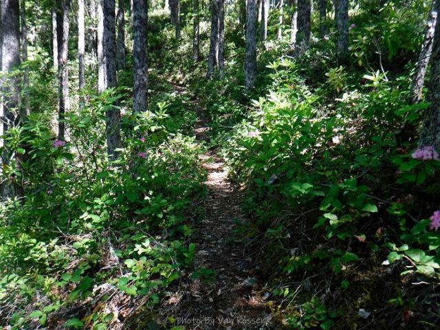 The trail reaches the Rhode Zone