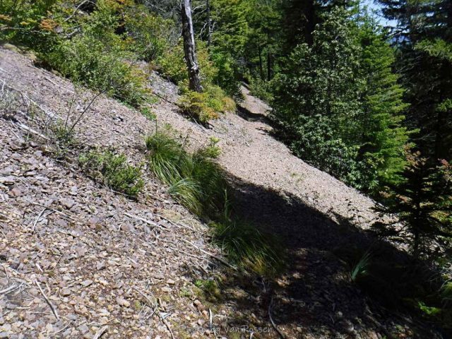 A stretch of exposed rocky trail