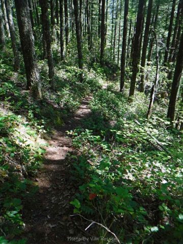 Steep trail down was a thigh burner