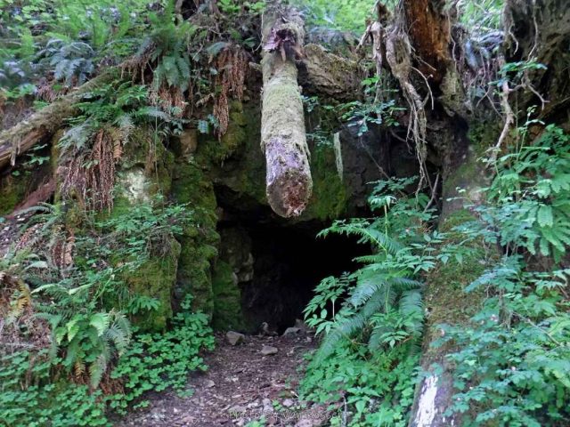 Entrance to the abandon gold mine