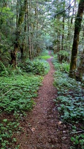 Finally back to some easy trail to finish up on